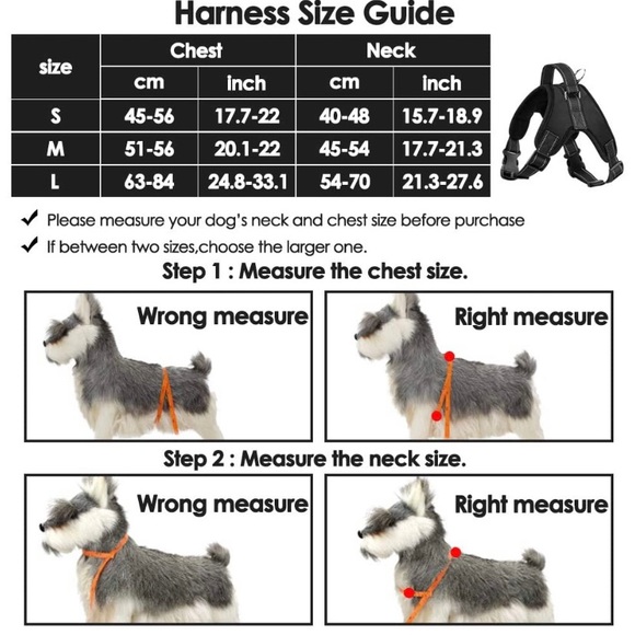 COPY - Dog Harness - Picture 4 of 4